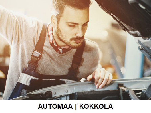 DACIA OPTIMAL-VUOSIHUOLTO 169 €